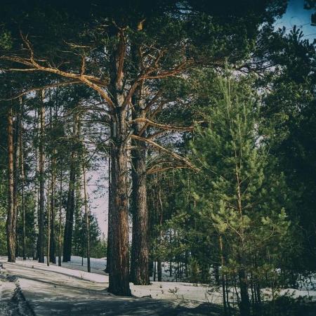 Kimi 背后的长文本大模型推理实践:以 KVCache 为中心的分离式推理架构