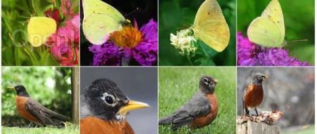 ECCV 2024 | 探索离散Token视觉生成中的自适应推理策略