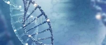 2024年诺贝尔化学奖预测：分子动力学模拟、蛋白质结构预测、光催化剂研制……