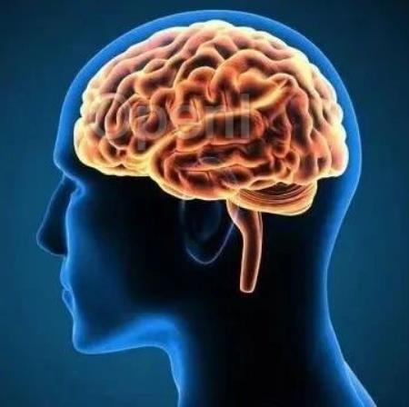 Nature:大脑如何在没有意识的情况下检测日常生活中的模式