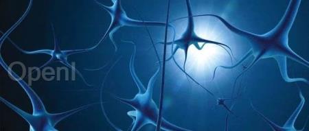 重要突破：利用AI，研究人员可以对单个神经元的行为进行预测