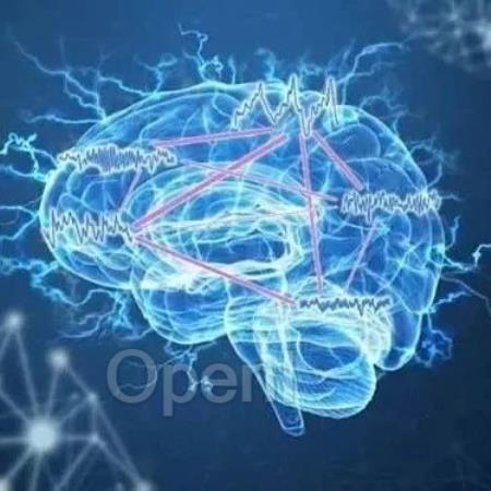 重磅!中科院自动化所 开发基于内部复杂性的新型类脑网络模型有望实现AGI