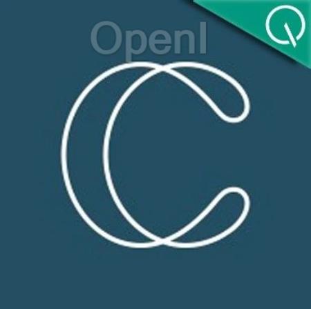 又有AI创始人卖身大厂!带走25%员工留下空壳,为吴恩达第一位博士生