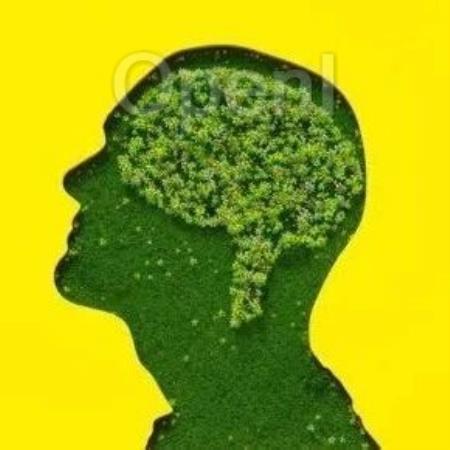 回答与人工智能、能源和可持续性相关的问题