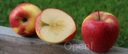 创业2年肝出爆款AI 工具!碾压VS Code、让OpenAI 员工都倒戈,开发者们集体上头!