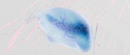 ICML 2024丨多轨图卷积网络:解决过平滑与过碾压的新思路