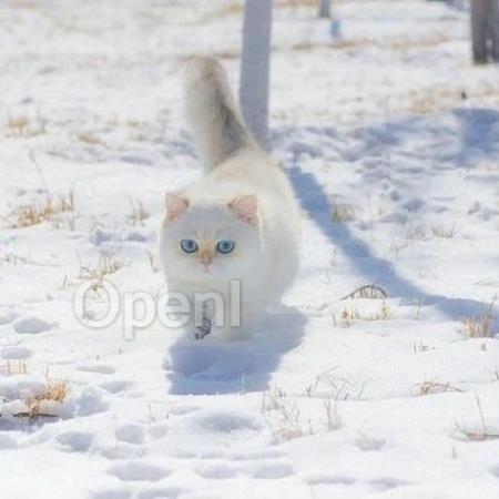 大模型之争深水期,企业如何真正实现产业级落地?