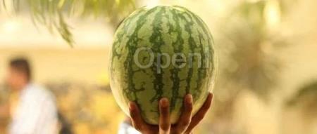 曝国产GPU独角兽全员被裁、欠薪记账;小天才手表应用称“中国人最虚伪”,官方回应;星巴克新CEO坐3小时专机上下班|AI周报