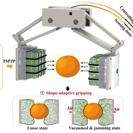 优势显著!华南理工等团队AISY:新型光电皮肤赋能软抓手触觉感知