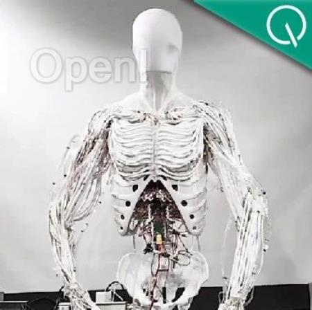 西部世界成真：仿生肌肉驱动的机器人来了，英伟达科学家站台