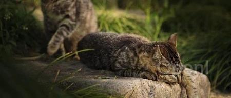 从再三拒绝到带头研发,Meta CTO “真香”:我曾觉得VR/AR是个大坑,是小札“疯了”