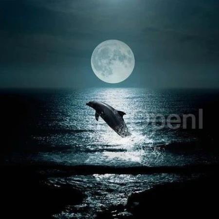 百度又放大招!视觉生成模型 Hallo2 或将落地数字人等场景