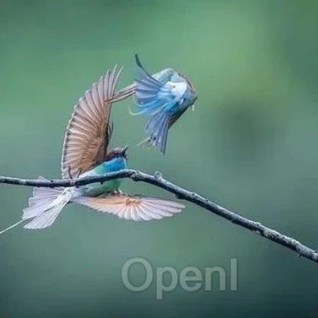 谷歌这款AI应用凭什么在一年后爆红？大神卡帕西：或是下一个ChatGPT