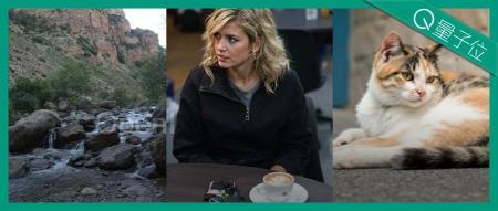 最新AI生图模型Flux1.1刷屏!添加单反相机文件名获得超写实图像,网友:我分不清啊