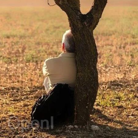 曹操出行再次冲击港股IPO,预计两年内推出完全定制化Robotaxi车型