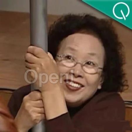 比Flux更强大的文生图模型来了!秘诀是“集百家之长”