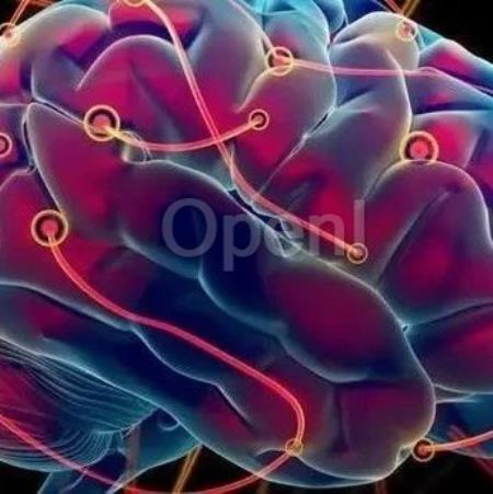 《声音改造大脑》揭示声音与大脑的关系-被低估的声音与听觉