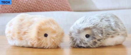 卡西欧推出价格三千元的机器宠物，不仅有情绪，还会认主