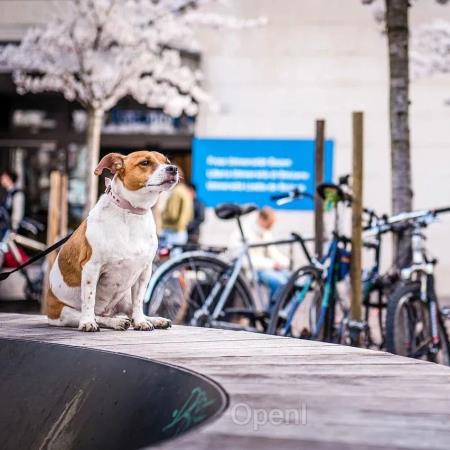 讯飞星火4.0 Turbo、超拟人数字人等11个首发,科大讯飞如何深入大模型国产化“无人区”