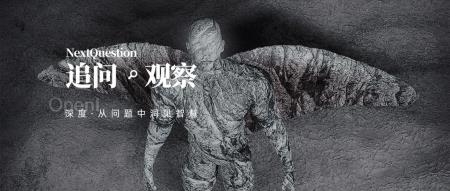 为何马斯克的“盲视”不可能超越肉眼?