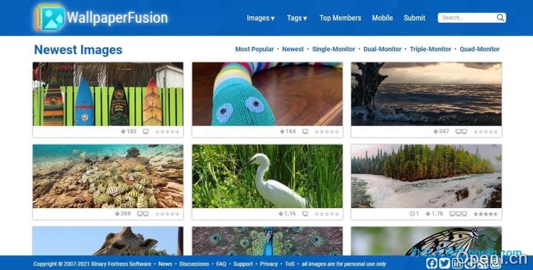 wallpaperfusion插图