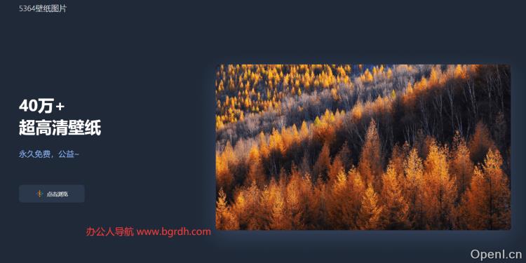 5364壁纸图片插图