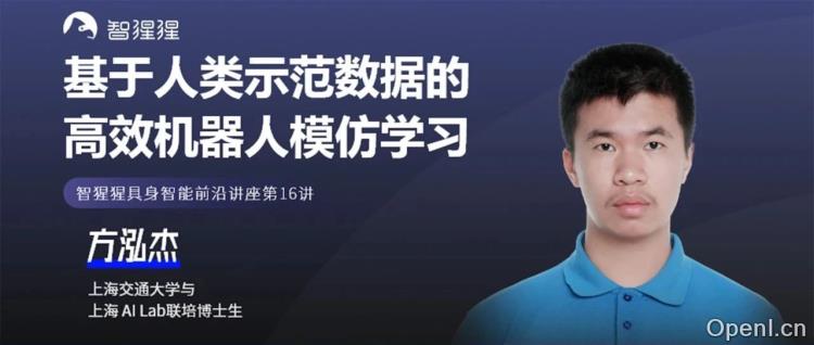 从人类示范到机器人智慧:揭开高效模仿学习的神秘面纱