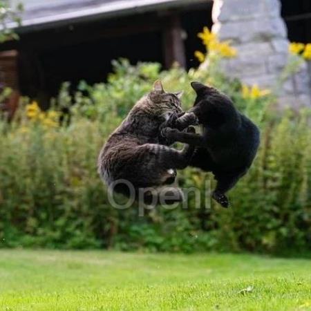 钉钉公布商业化核心进展:上半财年ARR远超2亿美元,6大新AI助理现已免费开放