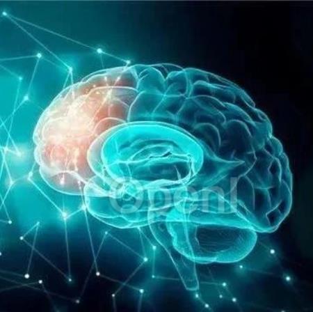 大模型内部也有功能分区，MIT团队揭示其“大脑”结构