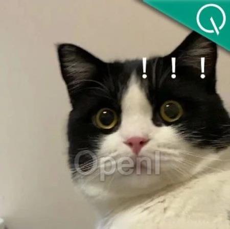 今日最热论文:Scaling Law后继乏力,量化也不管用,AI大佬齐刷刷附议