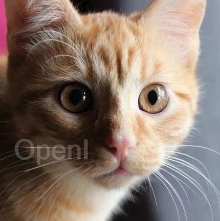 通义灵码 SWE-GPT：从 静态代码建模 迈向 软件开发过程长链推理