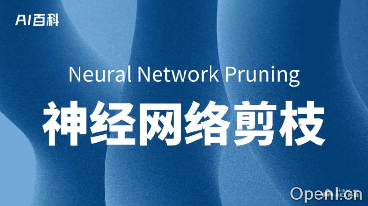 什么是神经网络剪枝(Neural Network Pruning)