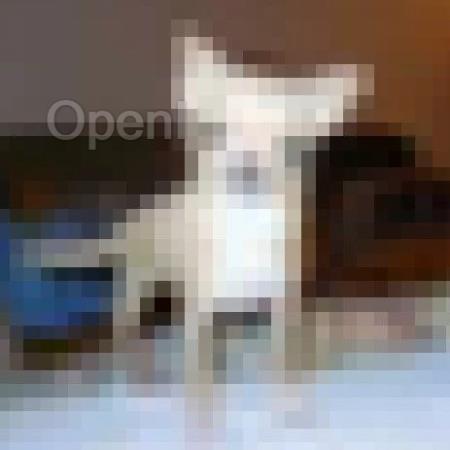 CCS 2024 | 如何严格衡量机器学习算法的隐私泄露？ ETH有了新发现