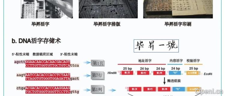 突破极限:毕昇一号DNA活字存储喷墨打印机实现低成本高效全自动存储新时代