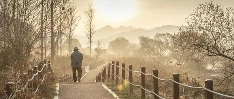 销毁员工记录！谷歌15年打造“隐瞒文化”：不要保留任何可能让我们难堪的东西！