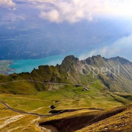 一句话改图！字节豆包通用图像编辑模型 SeedEdit 上线测试