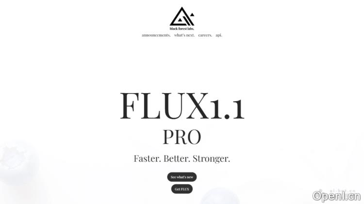 FLUX1.1