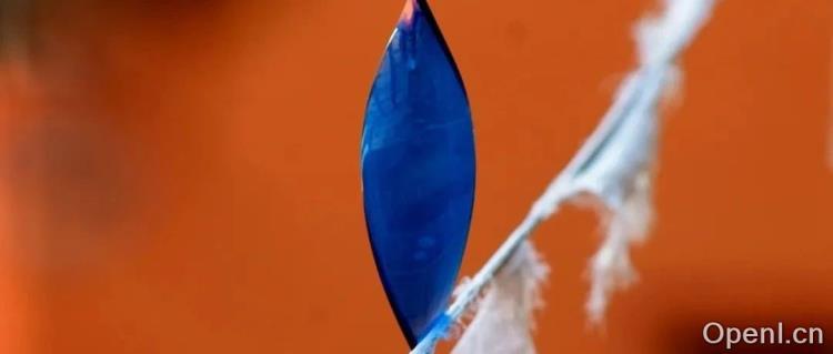 突破性进展:AI驱动的蛋白质进化实现特性提升百倍!