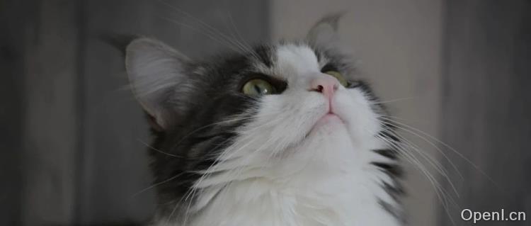 清华天才联手造梦,Robotaxi首股崛起市值破360亿!