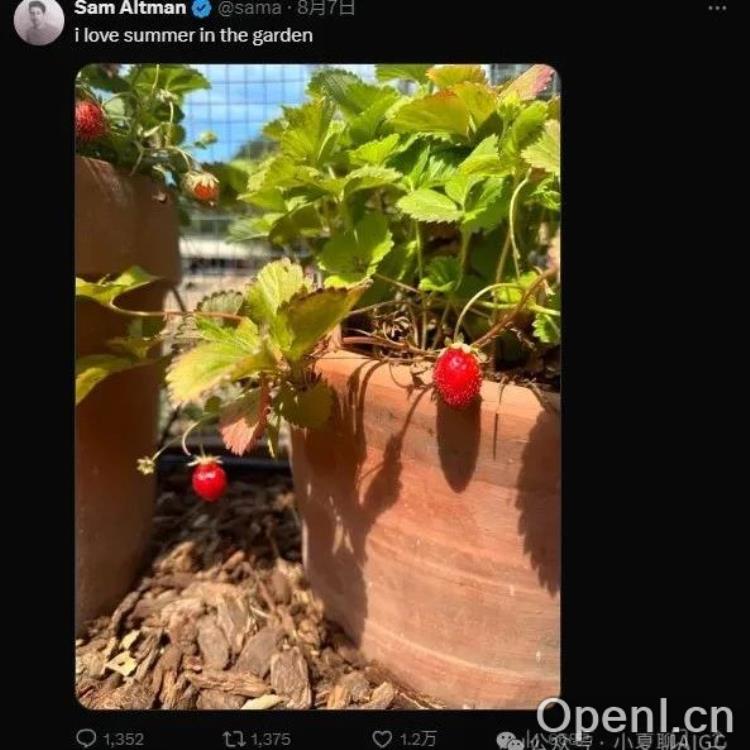 「草莓」闪耀登场:ChatGPT迎来年度重大升级,颠覆你的智能对话体验!