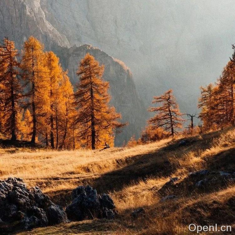 颠覆性创新:清华与面壁揭示未来主动Agent交互的新纪元