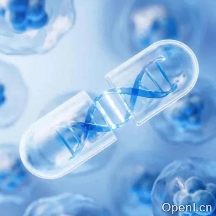 人工智能的未来:探索下一个技术革命的边界