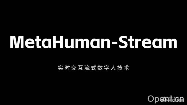 MetaHuman-Stream