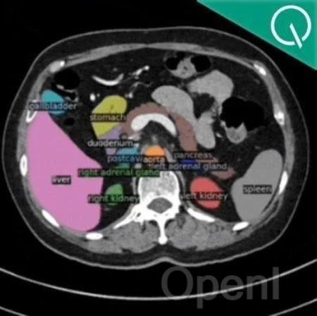 AI一键解析九大生物医学成像模式,用户只需文字prompt交互,微软UW等新研究登Nature Methods