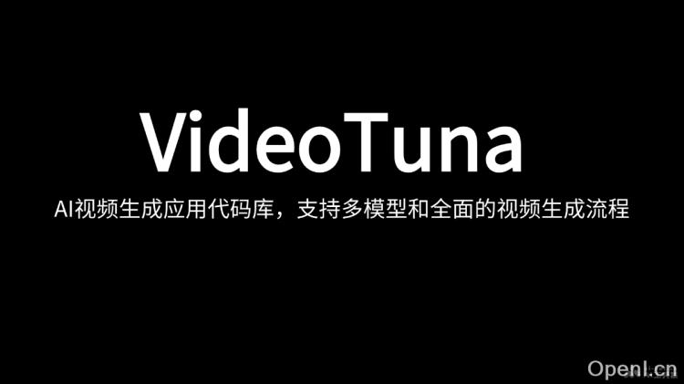 VideoTuna