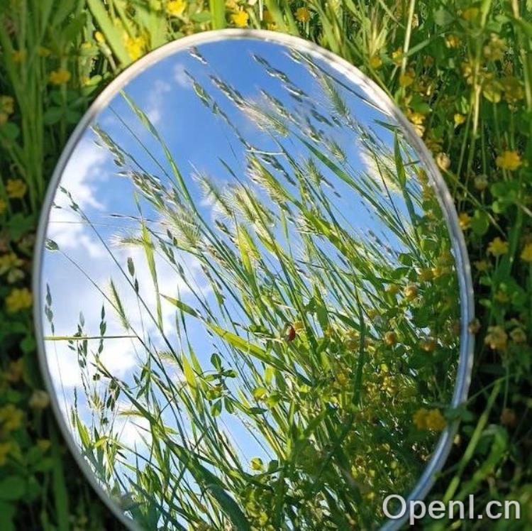 从“提词狂魔”到创新引领者:未来开发者的核心竞争力新探讨