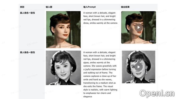 Vidu主体参照功能