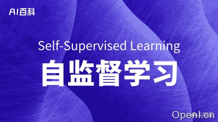 自监督学习