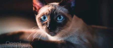 姜萍阿里数学竞赛系老师提供帮助,学校老师被处分;英伟达取代英特尔被纳入道指;一个App实现人猪沟通 |AI周报