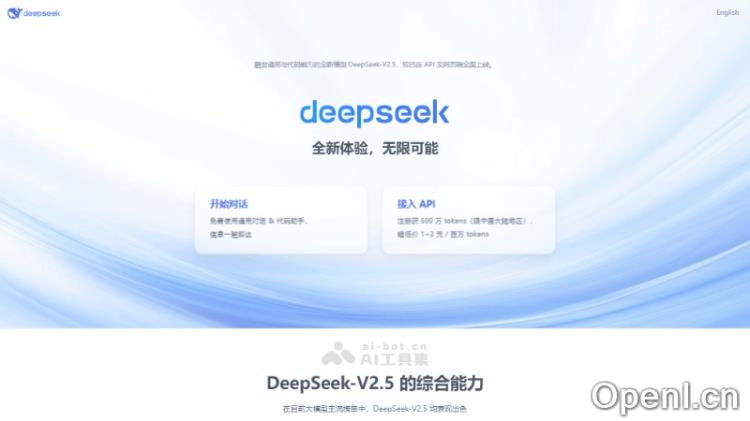 DeepSeek-V2.5 - OpenI